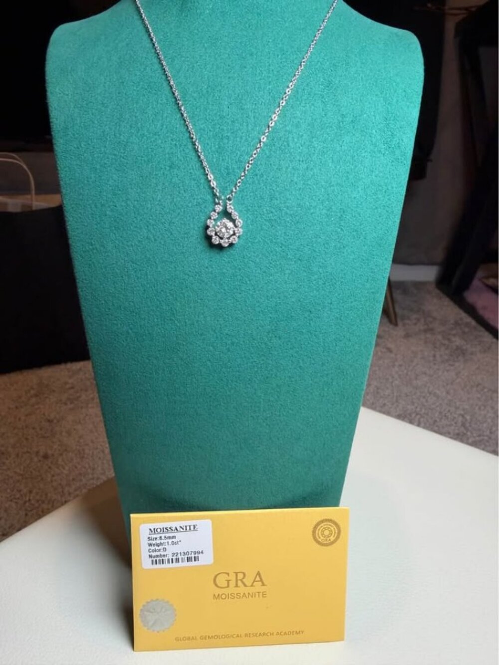 WOMEN's 1.0ct Moissanite Halo Pendant with 925 Silver Necklace